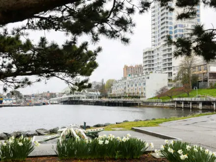 不列顛哥倫比亞省納奈莫 - 市中心