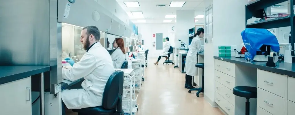 幹細胞研究人員在實驗室